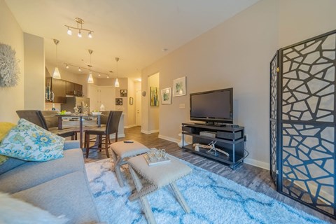 Model Home Living Room at Elizabeth Square, Charlotte, NC, 28204